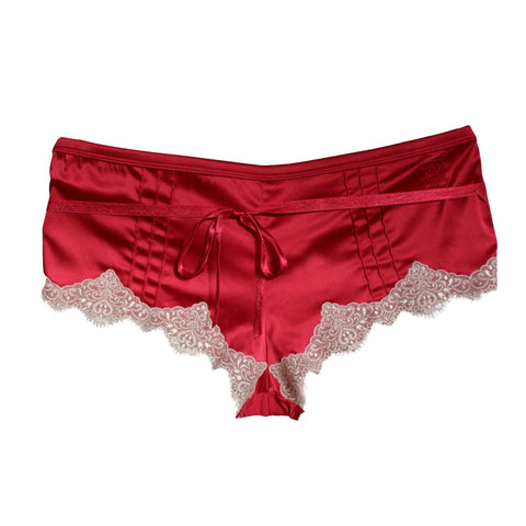 Opulent Lace Brief in Berry Red