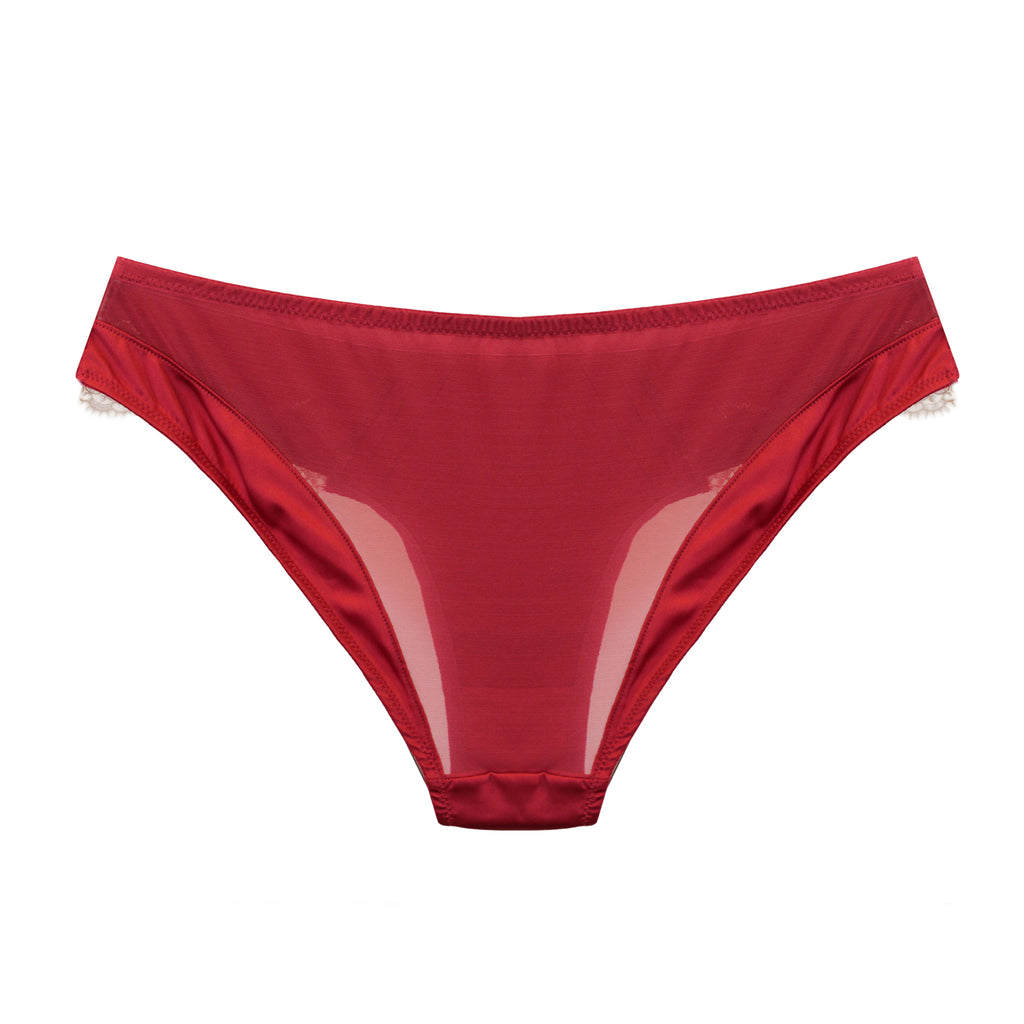 TL Opulent Lace Brief in berry red_product-back_beautifullyundressed